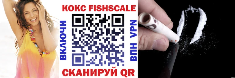Купить закладки  Звенигово  COCAIN 99% 