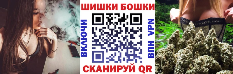 Купить где  Звенигово  Бошки Шишки ГИДРОПОН 